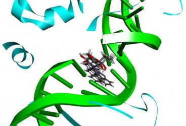 Hình 3 4 Xếp chồng các cấu dạng của ligand đồng kết tinh CPT vào tinh thể 1