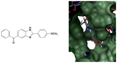 Hình 3 5 Dẫn xuất 5MM tại khoang gắn kết CPT của phức hợp TopI DNA Hình 3 6 2