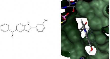 Hình 3 6 Dẫn xuất 53H tại khoang gắn kết CPT của phức hợp TopI DNA Hình 3 7 3