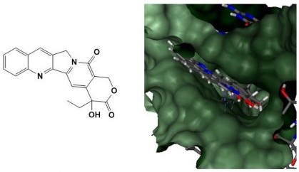 Hình 3 7 Camptothecin tại khoang gắn kết của phức hợp TopI DNA Ngoài ra 5MM và 53H 4