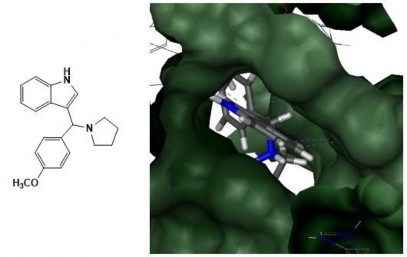 Hình 3 10 Dẫn xuất IPM tại khoang gắn kết CPT của phức hợp TopI DNA Hình 3 11 7