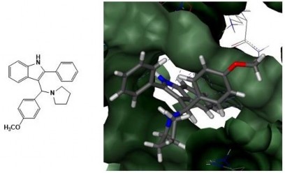Hình 3 11 Dẫn xuất PPM tại khoang gắn kết CPT của phức hợp TopI DNA Kết quả 8