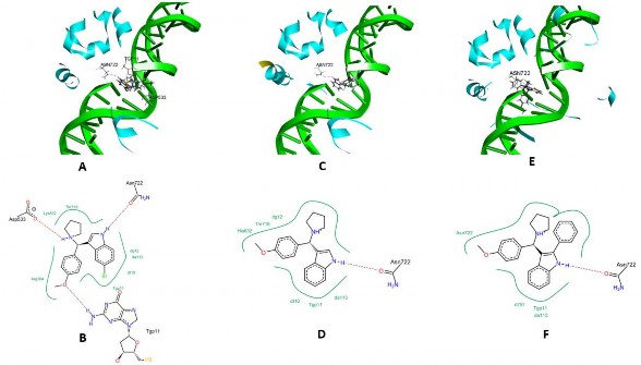 Chuỗi kép DNA và TopI được biểu diễn bằng các dải băng màu xanh lá và xanh 9