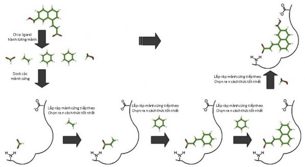 Hình 1 5 Thuật toán docking xây dựng gia tăng Lựa chọn mảnh cơ sở mảnh cơ 1