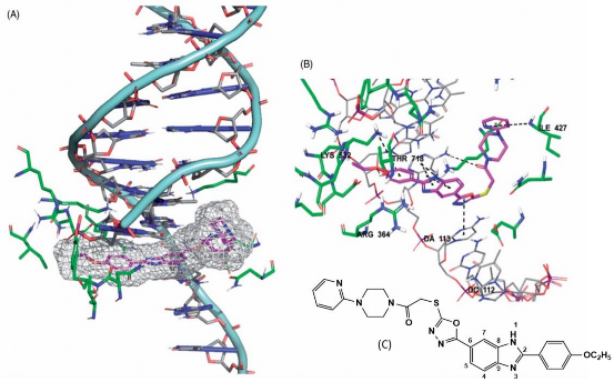 Nguồn Cevik 2020 43 Hình 1 11 Kết quả docking của 5n A 5n nằm trong khoang 8