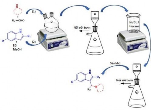 Hình 2 3 Các bước tổng hợp các dẫn xuất 3 aminoalkylated indole Cơ chế phản 1