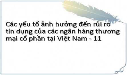 Các yếu tố ảnh hưởng đến rủi ro tín dụng của các ngân hàng thương mại cổ phần tại Việt Nam - 11