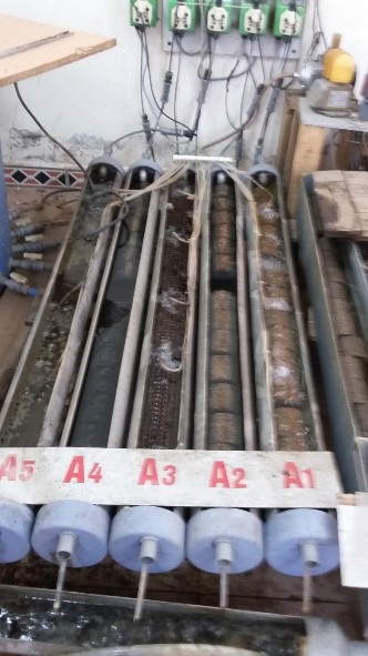 Hình 2 6 Hệ thực nghiệm đánh giá hoạt động của VSV trong vật liệu EBB cải 3