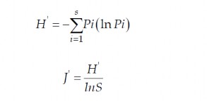 Chỉ số Shannon H’ và chỉ số Pielou tương quan J’ có thể được tính toán 3