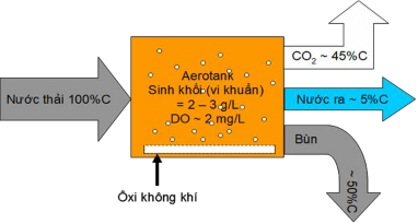 Hình 1 3 Cân bằng vật chất cacbon BOD5 trong sinh học hiếu khí ii Quá trình 3