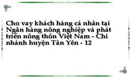Cho vay khách hàng cá nhân tại Ngân hàng nông nghiệp và phát triển nông thôn Việt Nam - Chi nhánh huyện Tân Yên - 12