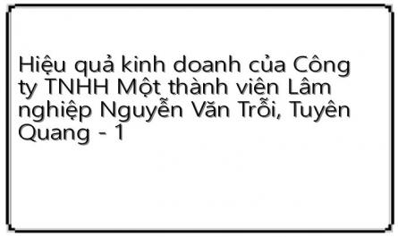 Hiệu quả kinh doanh của Công ty TNHH Một thành viên Lâm nghiệp Nguyễn Văn Trỗi, Tuyên Quang - 1