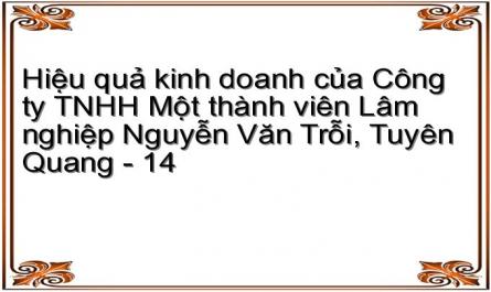 Hiệu quả kinh doanh của Công ty TNHH Một thành viên Lâm nghiệp Nguyễn Văn Trỗi, Tuyên Quang - 14