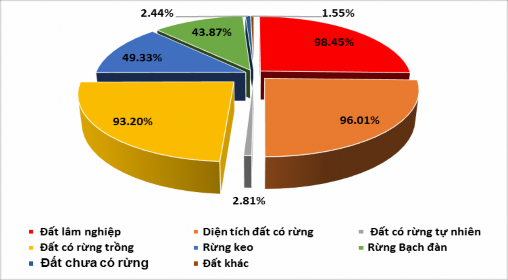 Biểu đồ 2 4 Cơ cấu rừng và đất rừng của công ty năm 2019 Nguồn Trích từ 1