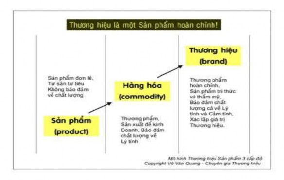 1 2 2 Xây dựng chiến lược về phát triển thương hiệu 1 2 2 1 Định vị và 2