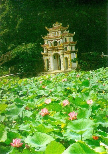 Ảnh 1 Một đầm sen thơ mộng ở Khu du lịch Tam Cốc – Bích Động Ảnh 2 Sẵn 1