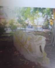 Rồng đá và khánh đá Vết tích điện Tường Quang Vết tích Gò Gạo gò chữ 9