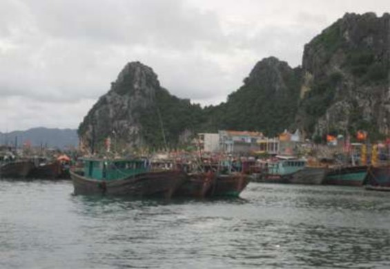 2 Phụ Lục 2 Các dự án phát triển du lịch đã và đang triển khai ở Vân Đồn 10