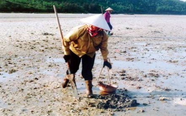 2 Phụ Lục 2 Các dự án phát triển du lịch đã và đang triển khai ở Vân Đồn 7