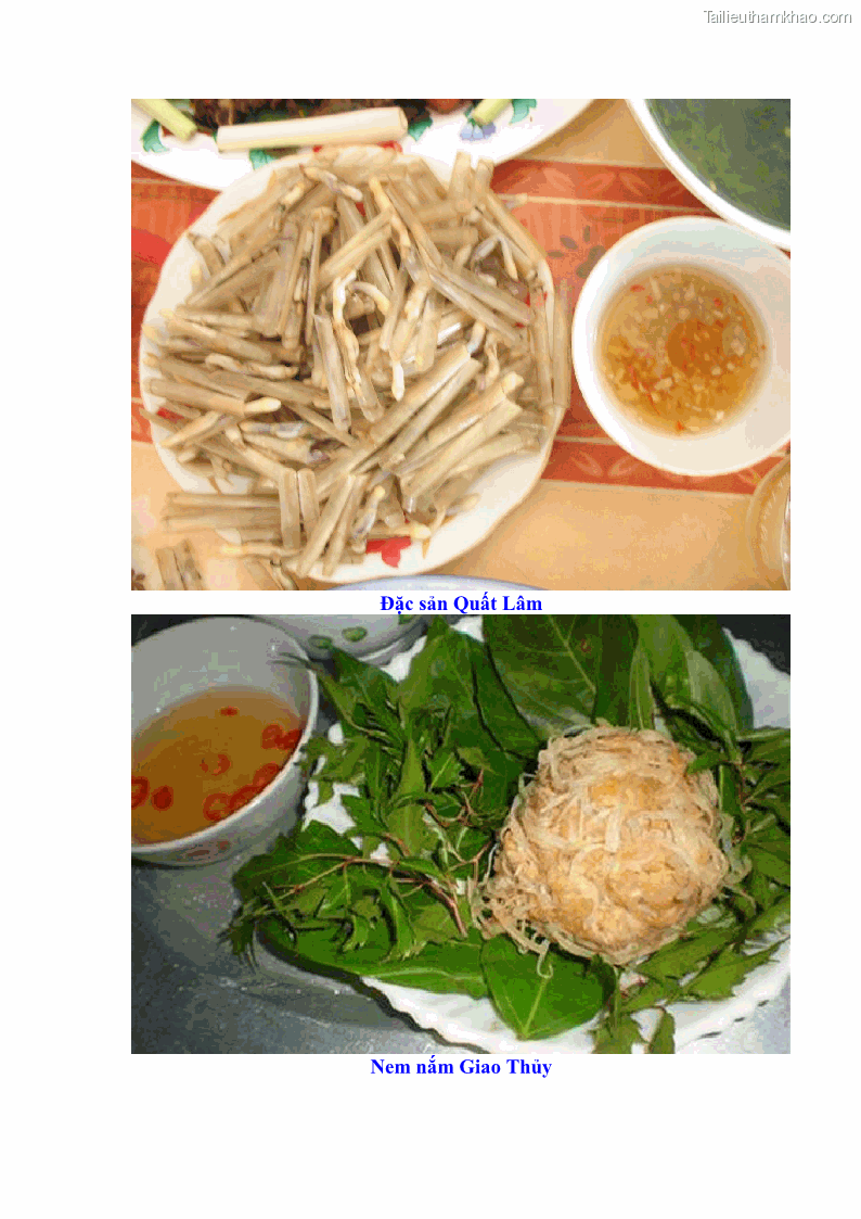 Khóa luận tốt nghiệp Văn hóa du lịch Nghiên cứu những điều kiện phát triển du lịch huyện Giao Thủy, tỉnh Nam Định - 14 Trang 105