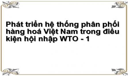 Phát triển hệ thống phân phối hàng hoá Việt Nam trong điều kiện hội nhập WTO - 1