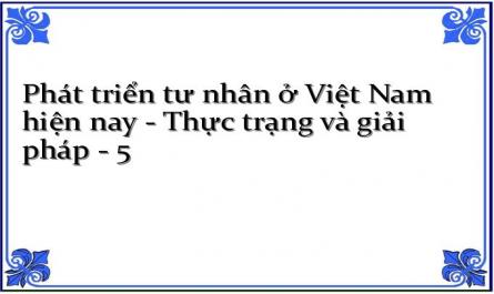 Thực Trạng Phát Triển Kinh Tế Tư Nhân Ở Việt Nam Hiện Nay‌‌