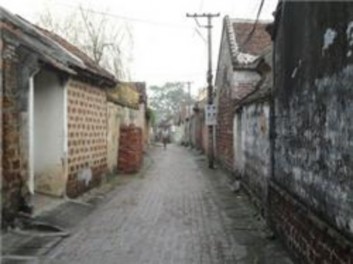 Ngõ xóm được bê tông hóa 9