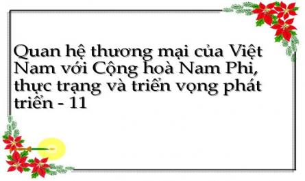 Quan hệ thương mại của Việt Nam với Cộng hoà Nam Phi, thực trạng và triển vọng phát triển - 11