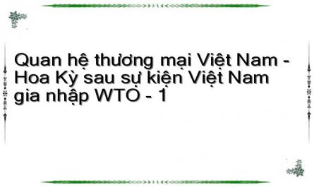 Quan hệ thương mại Việt Nam - Hoa Kỳ sau sự kiện Việt Nam gia nhập WTO - 1
