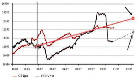 Biến Động Tỷ Giá Usd/vnđ Từ Tháng 10/2006 – 10/2007