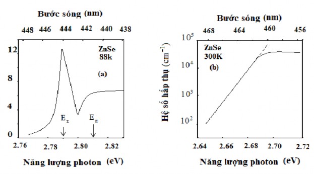 Hình 2 3 Phổ hấp thụ của đơn tinh thể ZnSe gần hấp thụ cơ bảnở nhiệt 9