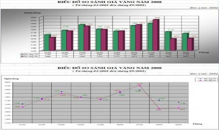 Thực Trạng Về Tình Hình Hoạt Động Thị Trường Vàng Giai Đoạn 2007-2009