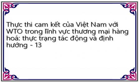 Thực thi cam kết của Việt Nam với WTO trong lĩnh vực thương mại hàng hoá: thực trạng tác động và định hướng - 13