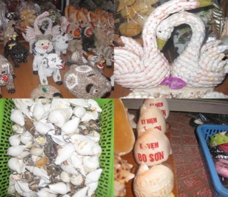 Các sản phẩm lưu niệm từ vỏ nhuyễn thể ở Đồ Sơn ảnh tác giả Những 8