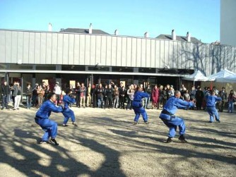 Tiết mục võ thuật truyền thống Việt Nam tại Lễ hội trao đổi văn hóa các 4