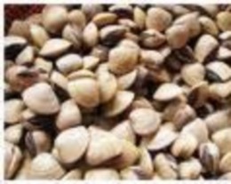 Hình 1 Mẫu Tôm Hình 2 Mẫu Ngao Hình 4 Mẫu cá Khoai Hình 5 Mẫu Mực Hình 6 2