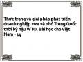Thực trạng và giải pháp phát triển doanh nghiệp vừa và nhỏ Trung Quốc thời kỳ hậu WTO. Bài học cho Việt Nam - 14