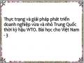 Định Nghĩa Về Dnv&n Theo “Luật Thúc Đẩy Dnv&n Trung Quốc” Năm 2003