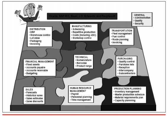 Như đã nói ở trên về các phân hệ của hệ thống ERP sản phẩm SAP R 3 của 1