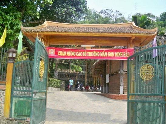 Rừng trúc ở Trang trại Đồng quê 8