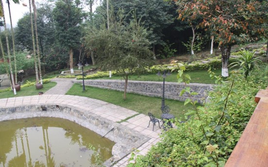 Rừng trúc ở Trang trại Đồng quê 9