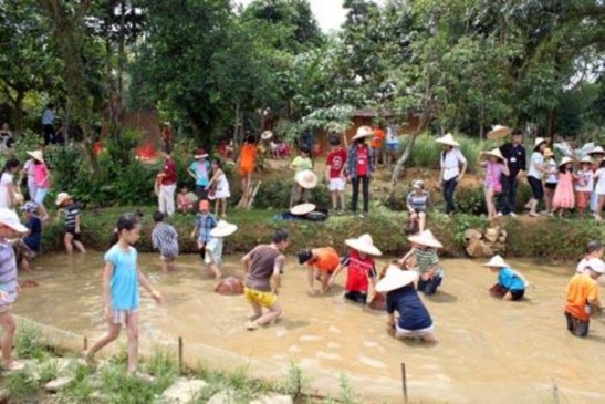 Chơi kéo co ở Trang trại Học sinh tìm hiểu về loài rau lưỡi hổ Nướng cá và 6