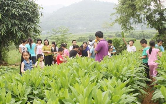 Nướng cá và thưởng thức món cá nướng PHIẾU ĐIỀU TRA Về tính hấp dẫn 8