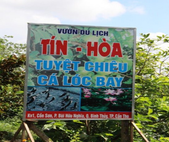 1 000 a Dependent Variable Y PHỤ LỤC 7 MỘT SỐ HÌNH ẢNH KHI KHẢO SÁT THỰC TẾ 3