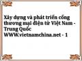 Xây dựng và phát triển cổng thương mại điện tử Việt Nam - Trung Quốc WWW.vietnamchina.net