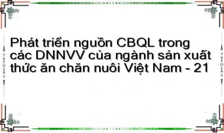 Phát triển nguồn CBQL trong các DNNVV của ngành sản xuất thức ăn chăn nuôi Việt Nam - 21