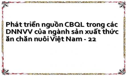 Phát triển nguồn CBQL trong các DNNVV của ngành sản xuất thức ăn chăn nuôi Việt Nam - 22