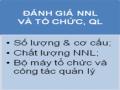 Phát triển nguồn nhân lực của Tập đoàn Điện lực Việt Nam - 6
