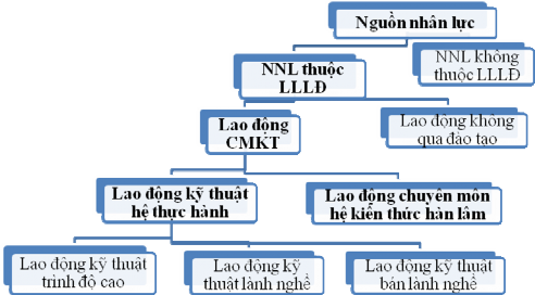 Hình 1 4 Sơ đồ phân loại nguồn nhân lực Nguồn 52 tr 167 Theo cách phân 2
