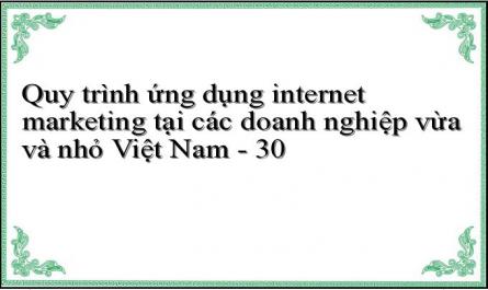 Quy trình ứng dụng internet marketing tại các doanh nghiệp vừa và nhỏ Việt Nam - 30